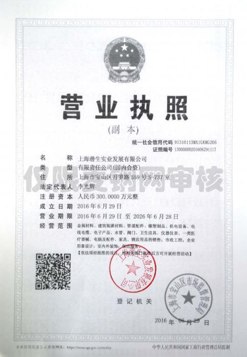 上海潜生实业发展有限公司营业执照